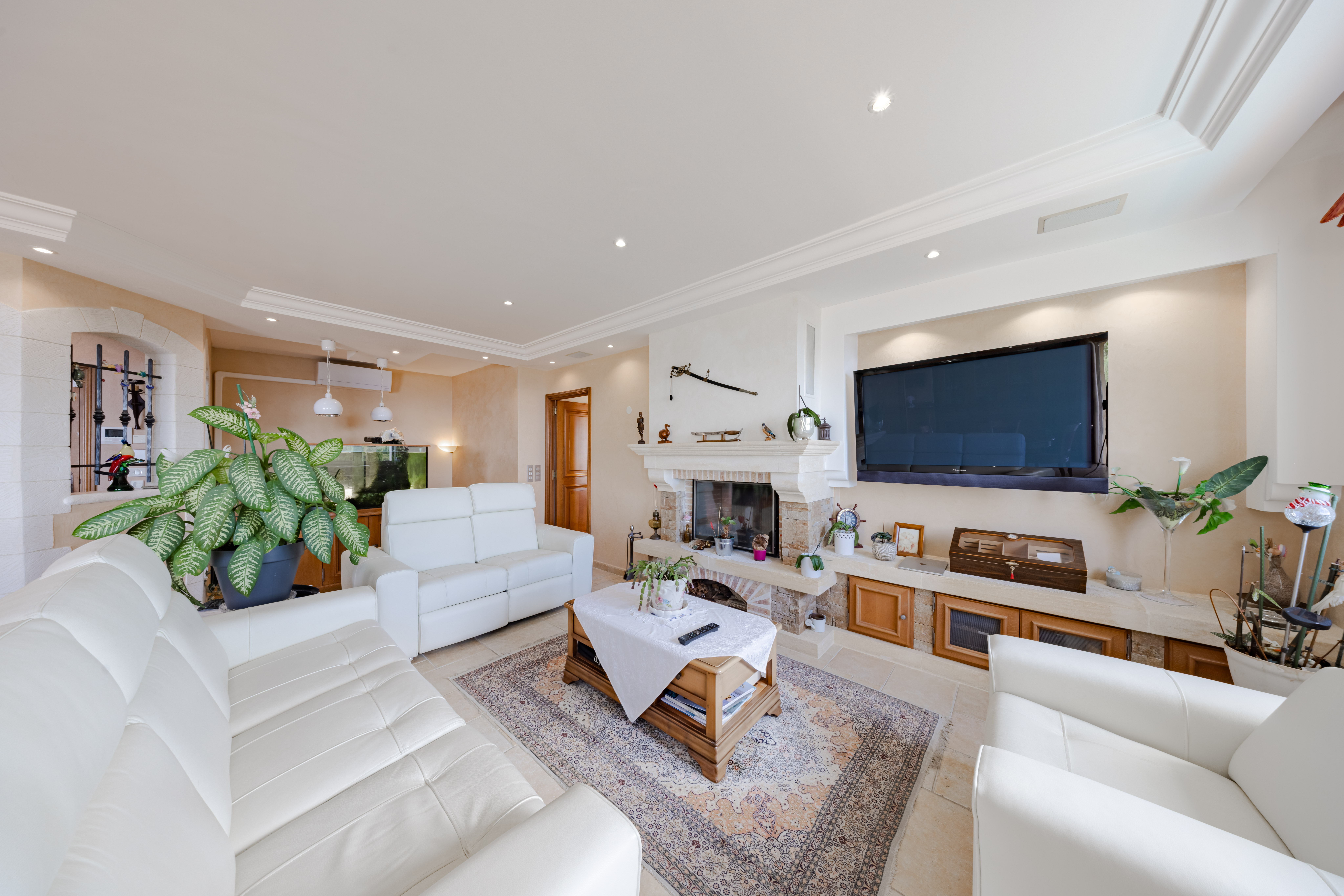 DEUX VILLAS PROCHE DE MONACO AVEC PISCINE